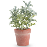 Greenmoods Kunstig Sølvkrans i Potte 23cm