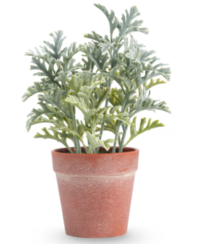 Greenmoods Kunstig Sølvkrans i Potte 23cm