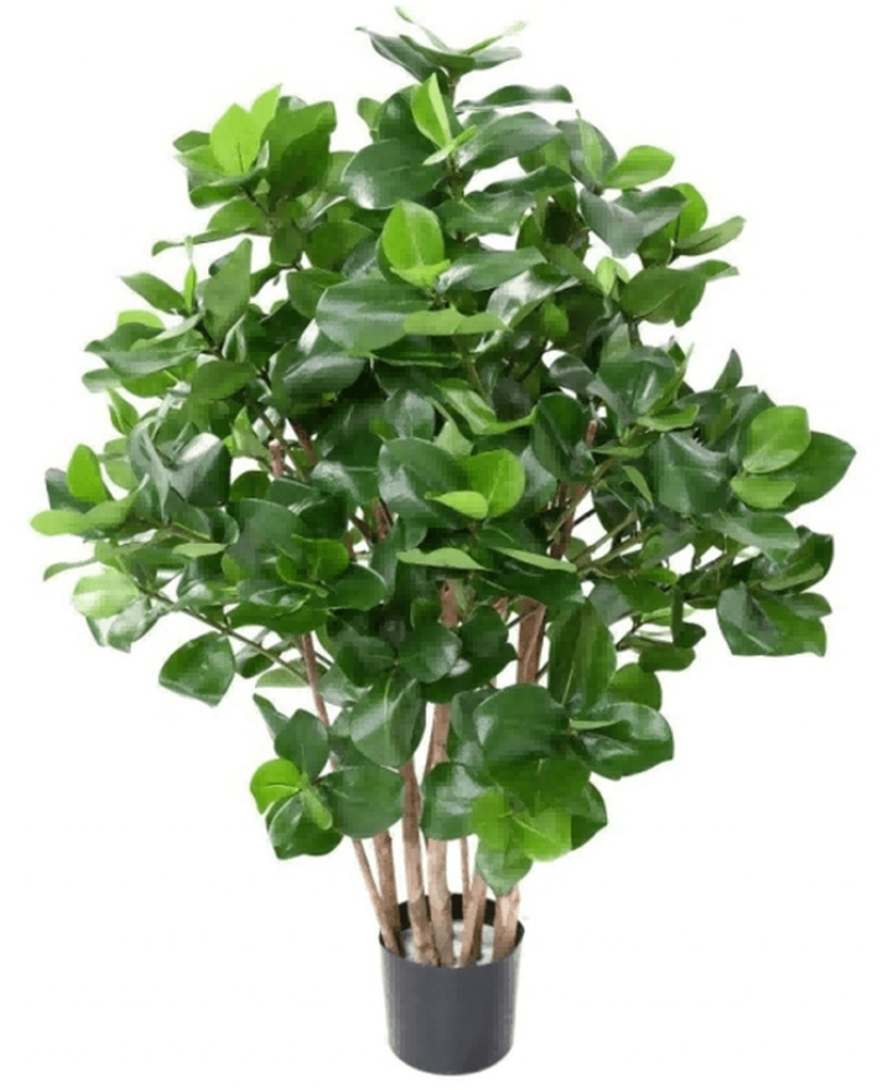 Greenmoods Kunstig Clusia Busk 75cm