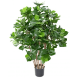 Greenmoods Kunstig Clusia Busk 75cm