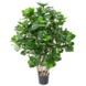 Greenmoods Kunstig Clusia Busk 75cm
