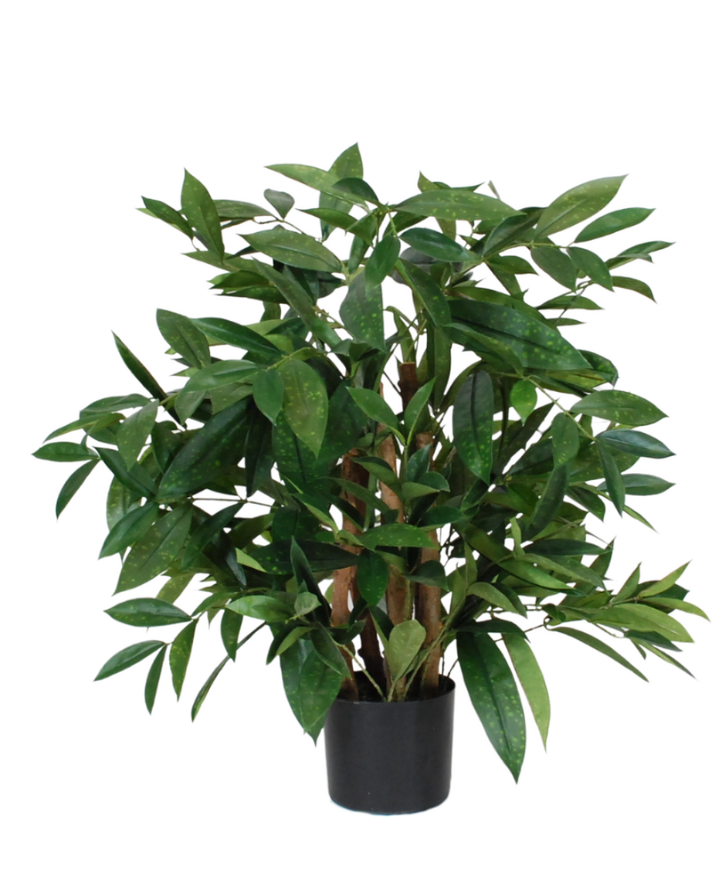 Greenmoods Kunstig Draceane Surcluosa Plante 70 cm