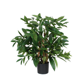 Greenmoods Kunstig Draceane Surcluosa Plante 70 cm