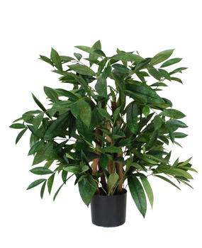 Greenmoods Kunstig Draceane Surcluosa Plante 70 cm