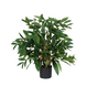 Greenmoods Kunstig Draceane Surcluosa Plante 70 cm