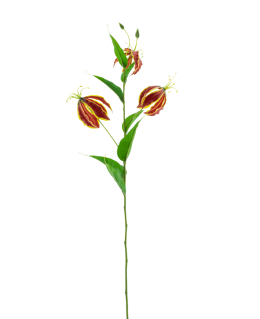 Greenmoods Kunstig Gloriosa Real Touch Rød 75 cm