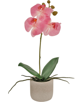 Greenmoods Kunstig Orkidé Real Touch Mini Rosa 30cm