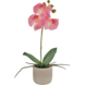 Greenmoods Kunstig Orkidé Real Touch Mini Rosa 30cm