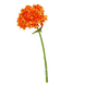 Greenmoods Kunstig Charlotte Hortensia Real Touch Oransje 55 cm