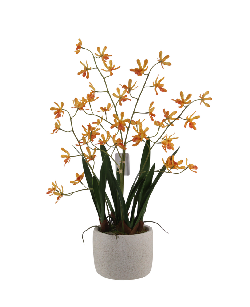 Greenmoods Kunstig Mini-Ascda Orkide Fersken 4 stilker 60cm