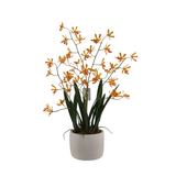 Greenmoods Kunstig Mini-Ascda Orkide Fersken 4 stilker 60cm