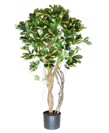 Greenmoods Kunstig Schefflera Unik Gulgrønn 120cm