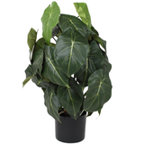 Greenmoods Kunstig Syngonium Grønn 60cm