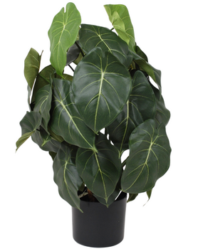 Greenmoods Kunstig Syngonium Grønn 60cm