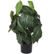 Greenmoods Kunstig Syngonium Grønn 60cm