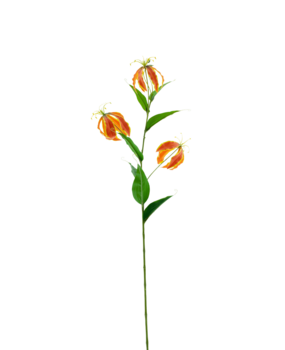 Greenmoods Kunstig Gloriosa Real Touch Oransje 75 cm
