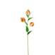 Greenmoods Kunstig Gloriosa Real Touch Oransje 75 cm