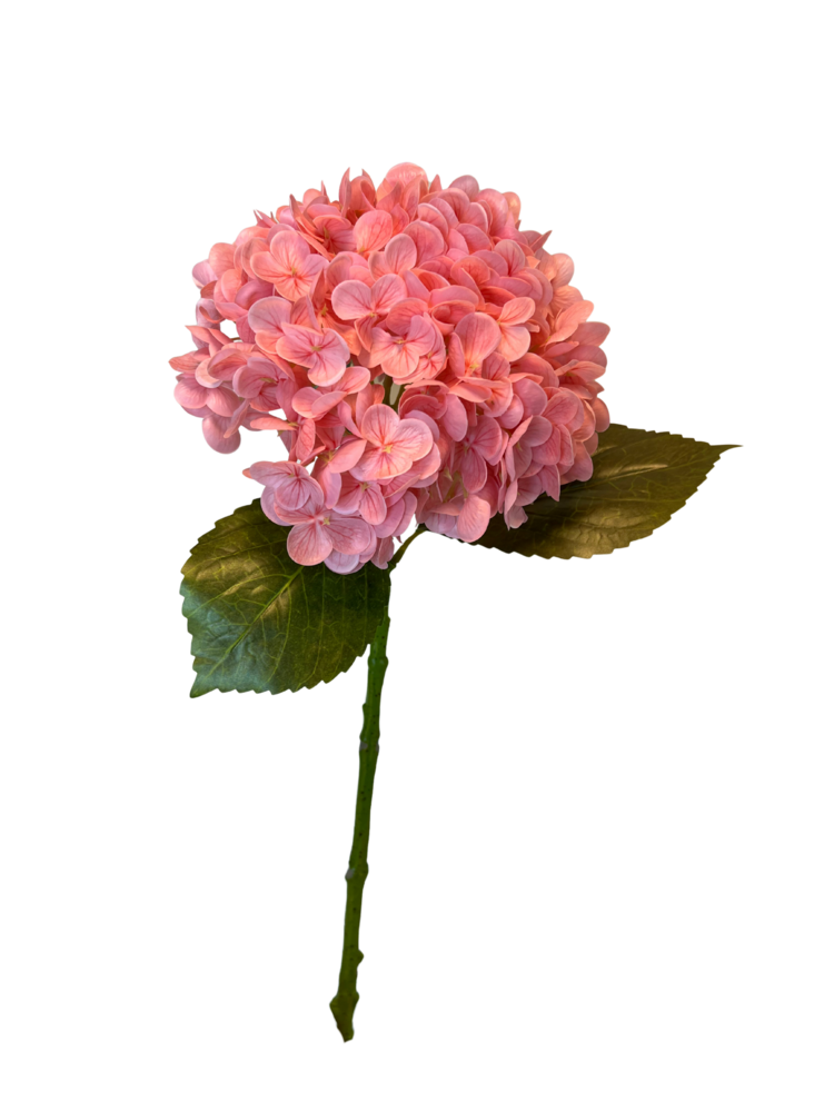 Greenmoods Kunstig Charlotte Hortensia  Real Touch Rosa 55 cm