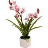 Greenmoods Kunstig Orkidé Cymbidium Real Touch Rosa 60cm
