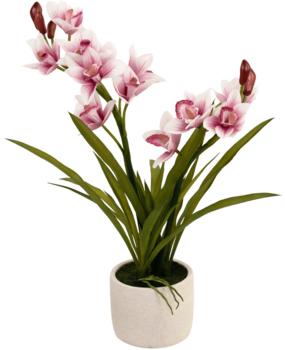 Greenmoods Kunstig Orkidé Cymbidium Real Touch Rosa 60cm