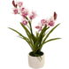 Greenmoods Kunstig Orkidé Cymbidium Real Touch Rosa 60cm