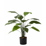 Greenmoods Kunstig Spathiphyllum Fredslilje 80 cm