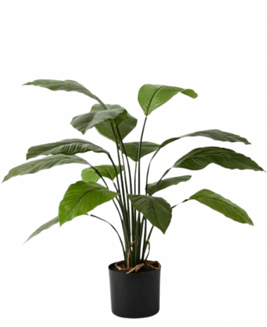 Greenmoods Kunstig Spathiphyllum Fredslilje 80 cm