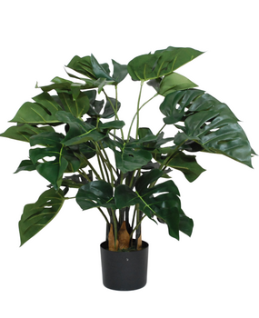 Greenmoods Kunstig Monstera Philo 70 cm