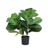 Greenmoods Kunstig Fiolinfiken Plante 50 cm