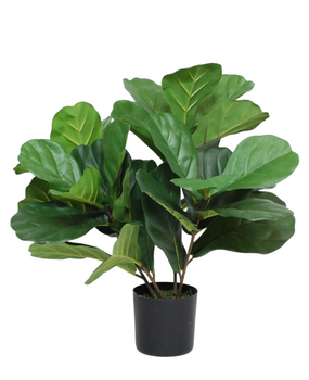 Greenmoods Kunstig Fiolinfiken Plante 50 cm