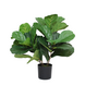 Greenmoods Kunstig Fiolinfiken Plante 50 cm