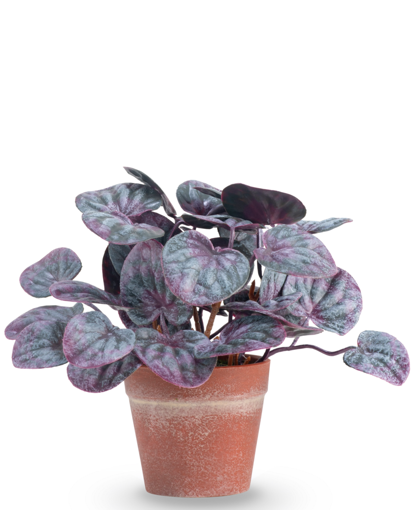 Greenmoods Kunstig Peperomia Caperata Lilla i Terrapotte 16 cm