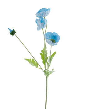 Greenmoods Kunstig Valmueblomst Real Touch Asurblå 60 cm