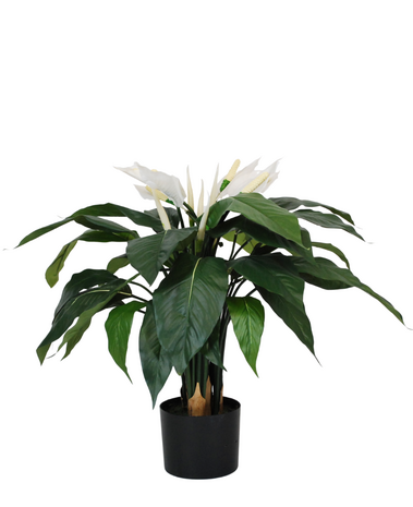 Greenmoods Kunstig Fredslilje Fyldig 80cm