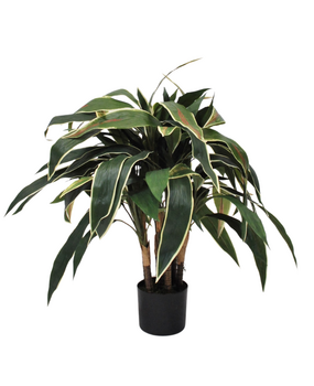 Greenmoods Kunstig Cordyline på stamme 70cm