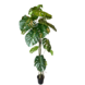 Greenmoods Kunstig Monstera Split 180 cm