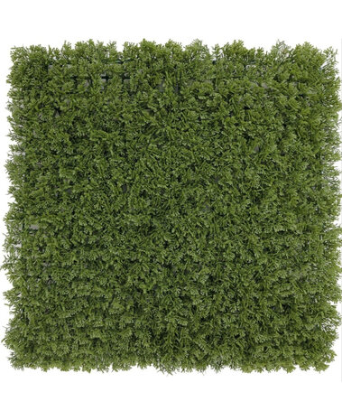 Greenmoods Kunstig Sypress Plantevegg Mørkegrønn 50x50cm UV