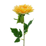 Greenmoods Kunstig Georgine Real Touch Gul 54 cm