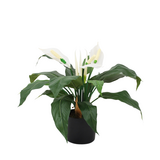 Greenmoods Kunstig Spathiphyllum Fredslilje 50 cm