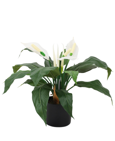 Greenmoods Kunstig Spathiphyllum Fredslilje 50 cm