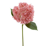 Greenmoods Kunstig Charlotte hortensia Real Touch Rosa 55cm