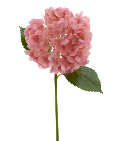 Greenmoods Kunstig Charlotte hortensia Real Touch Rosa 55cm