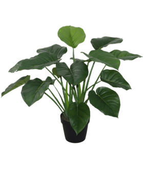 Greenmoods Kunstig Plante Pothos 60 cm