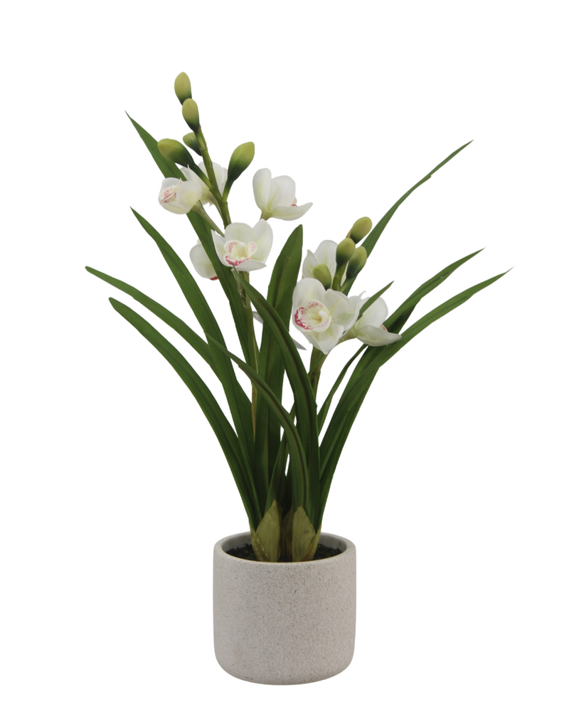 Greenmoods Kunstig Cymbidium Orkide Hvit 55cm