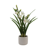 Greenmoods Kunstig Cymbidium Orkide Hvit 55cm