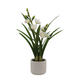 Greenmoods Kunstig Cymbidium Orkide Hvit 55cm