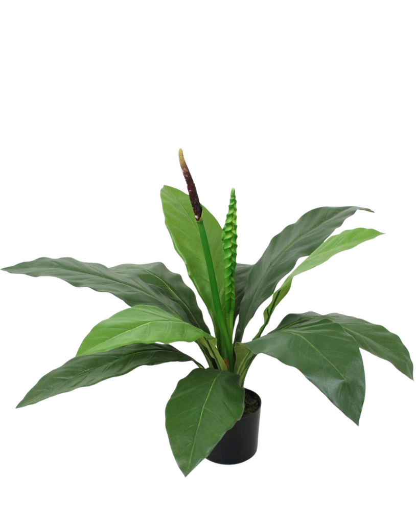 Greenmoods Kunstig Anthurium Plante 50 cm