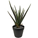 Greenmoods Kunstig Agave Plante UV 55 cm