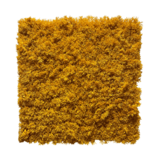 Greenmoods Kunstig Mosevegg Gul Brannsikker 50x50cm