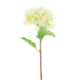 Greenmoods Kunstig Hortensia Real Touch Krem 58 cm